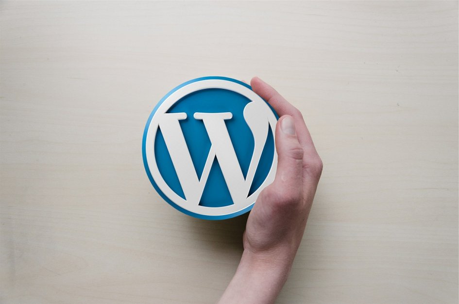 Dłoń trzymająca logo Wordpressa.